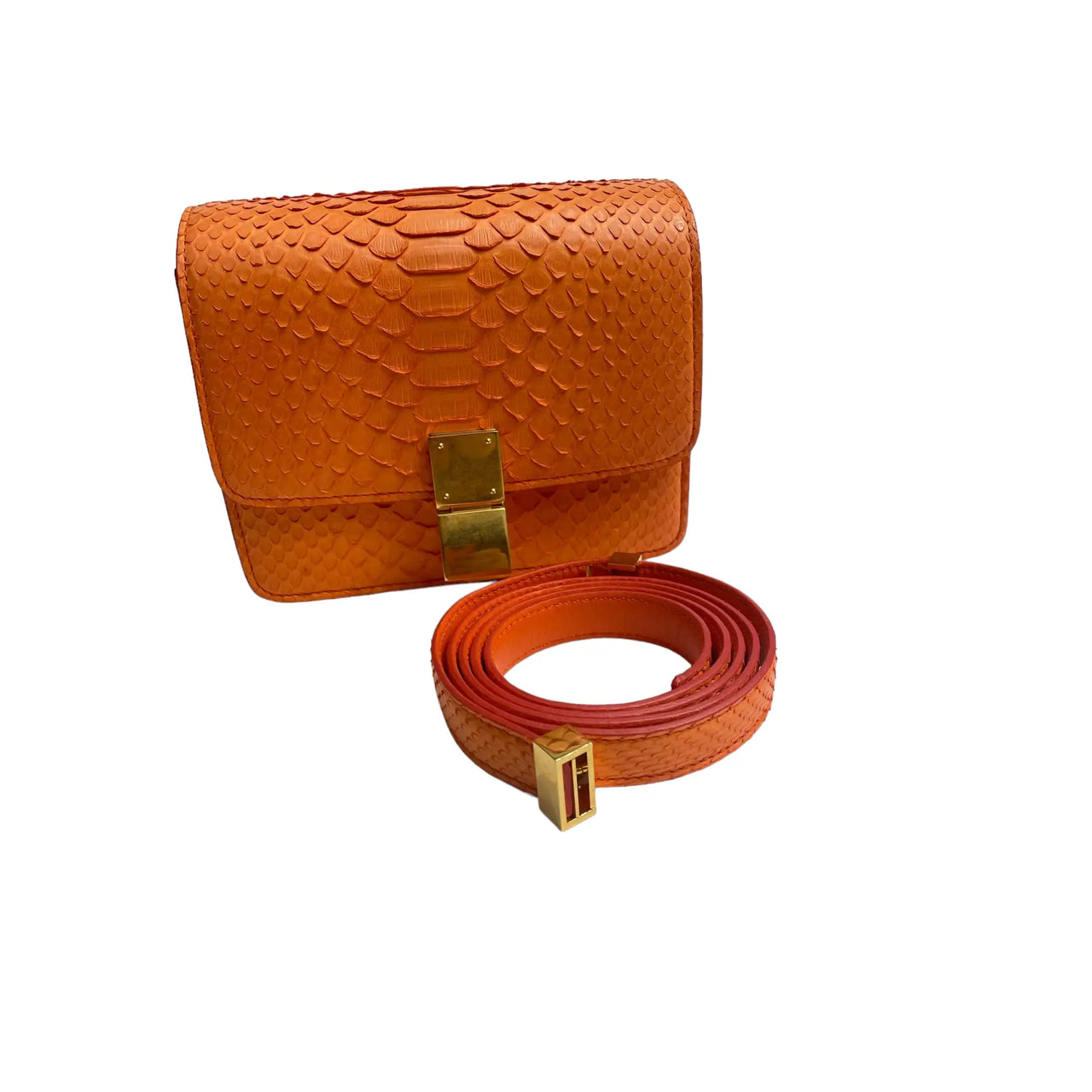 Celine python 2025 box bag