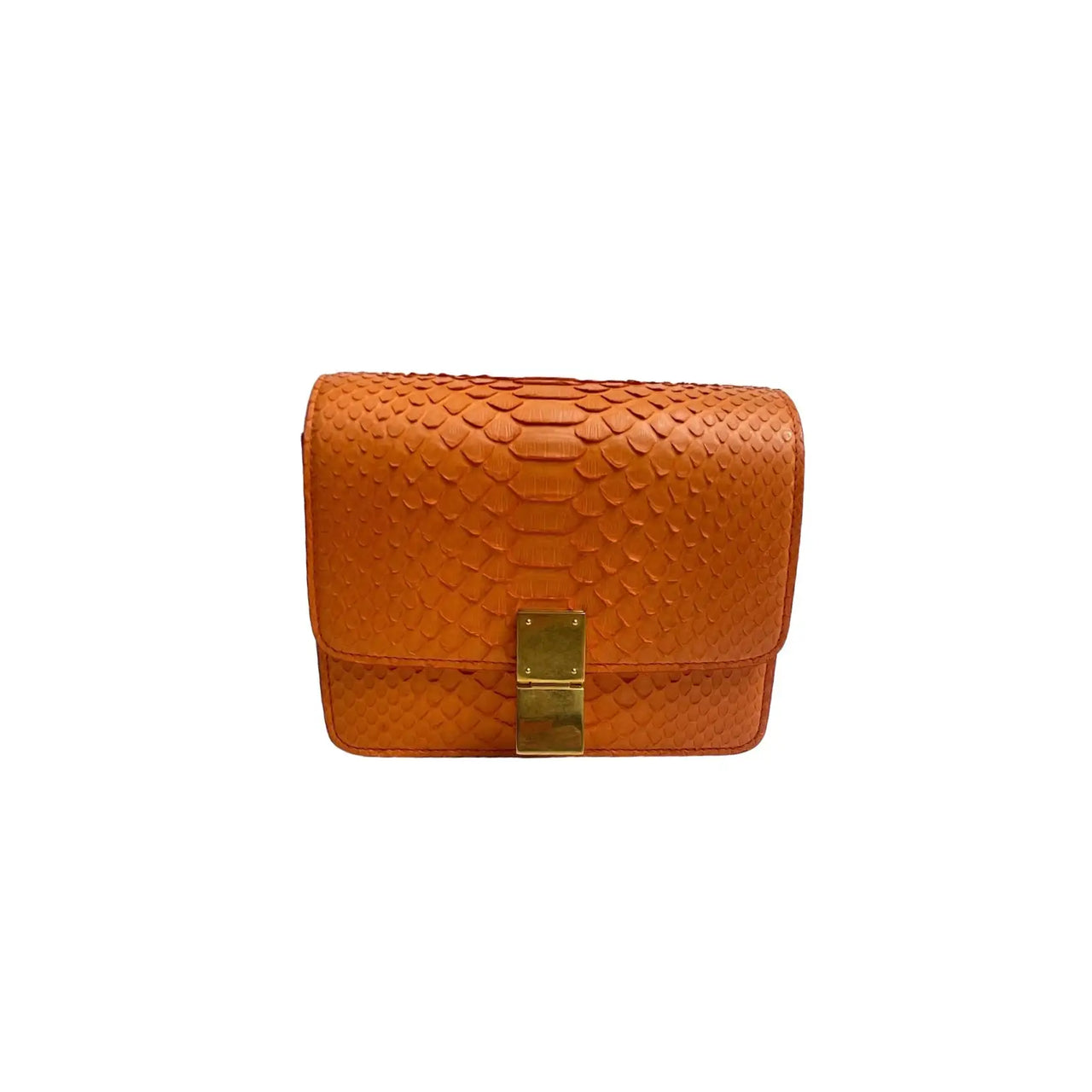 Celine Box Mini Python Comptoir Vintage