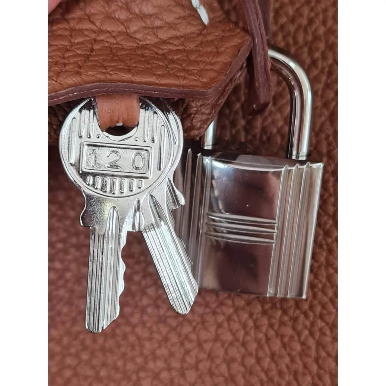 Hermes 2025 shark bag