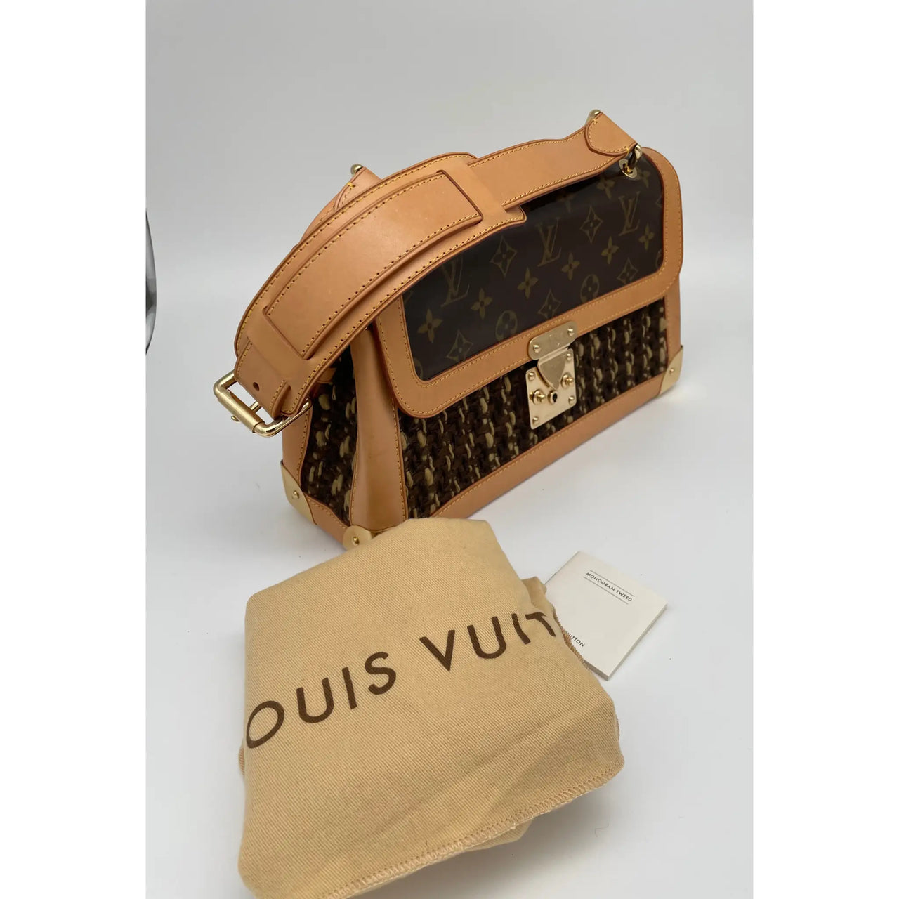 Louis Vuitton Limited Edition Brown Monogram Coated Canvas Sac
